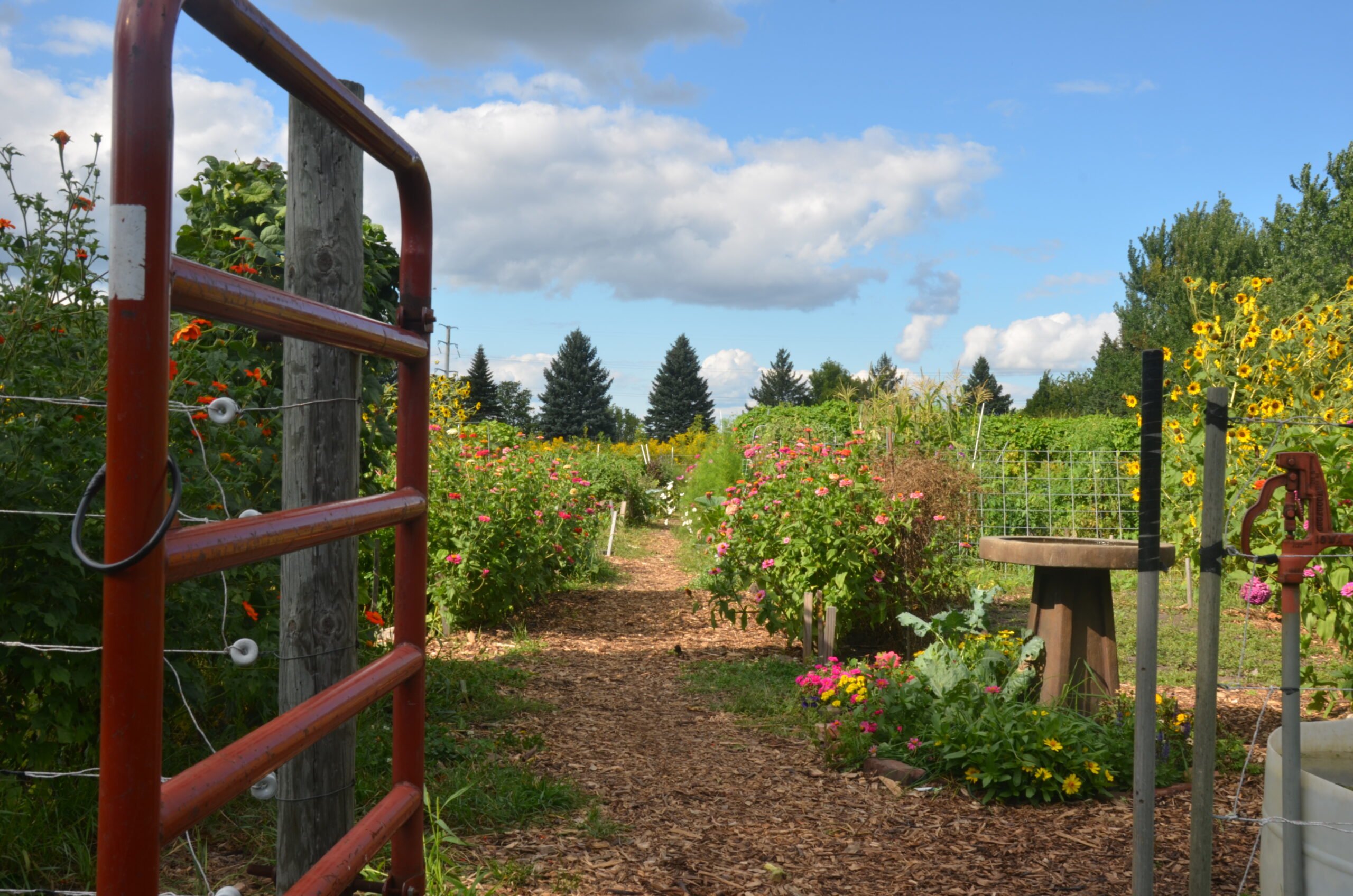 Gardens at the Living Earth Center